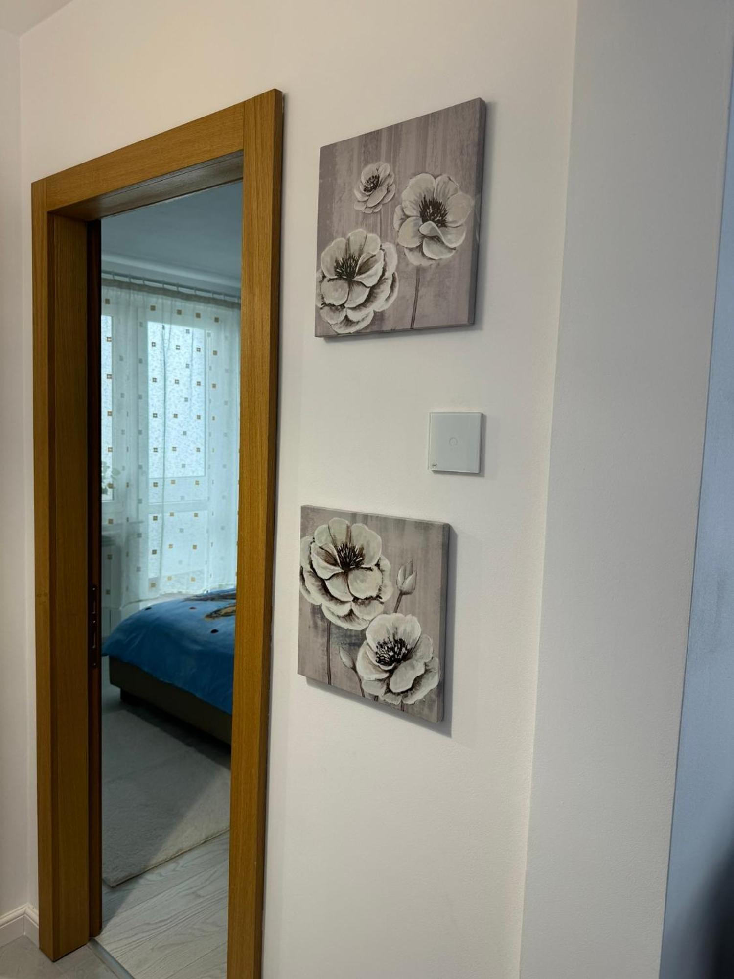 Apartament Central Рымнику-Вылча Экстерьер фото